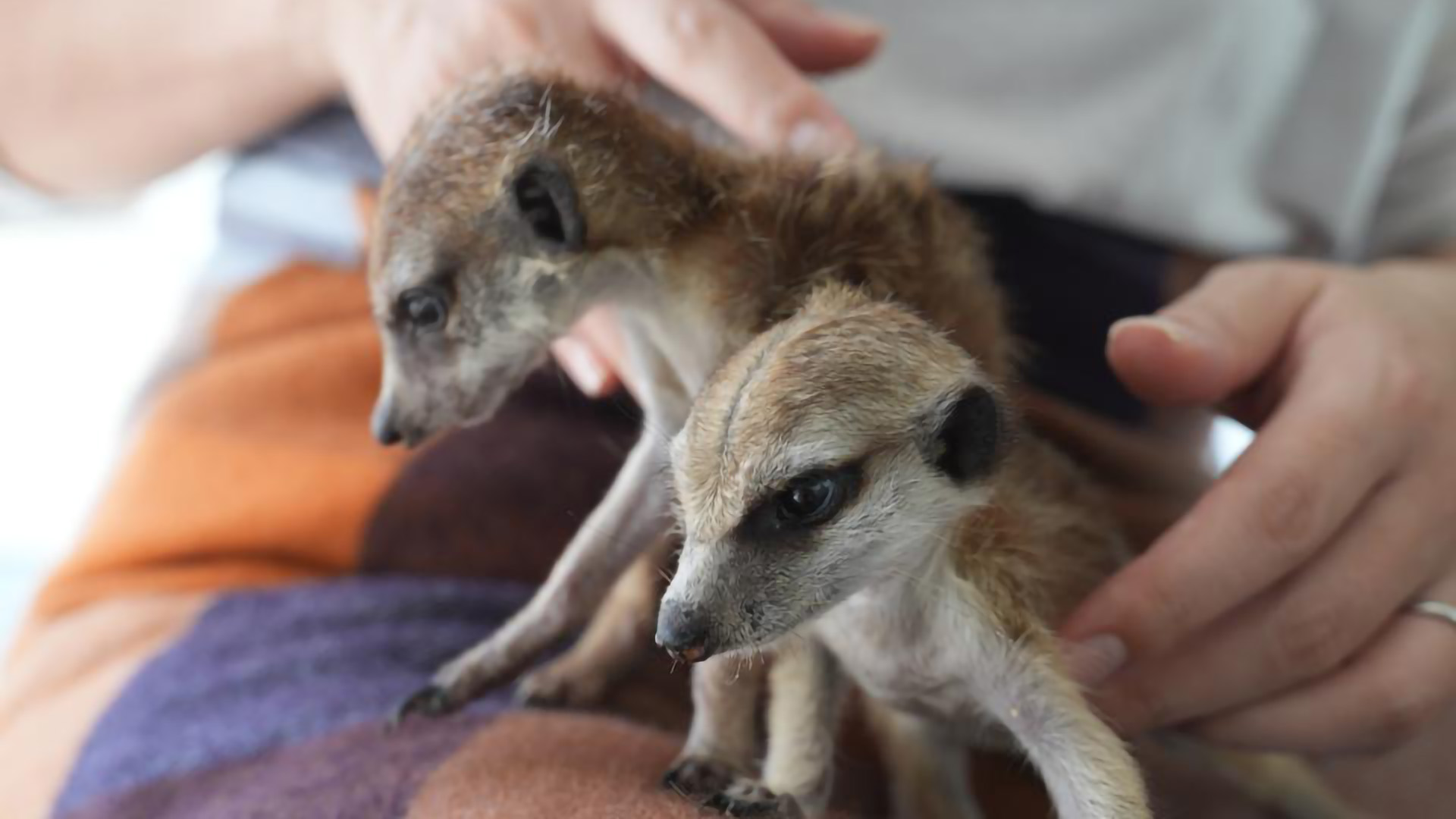 懐っこいです♪